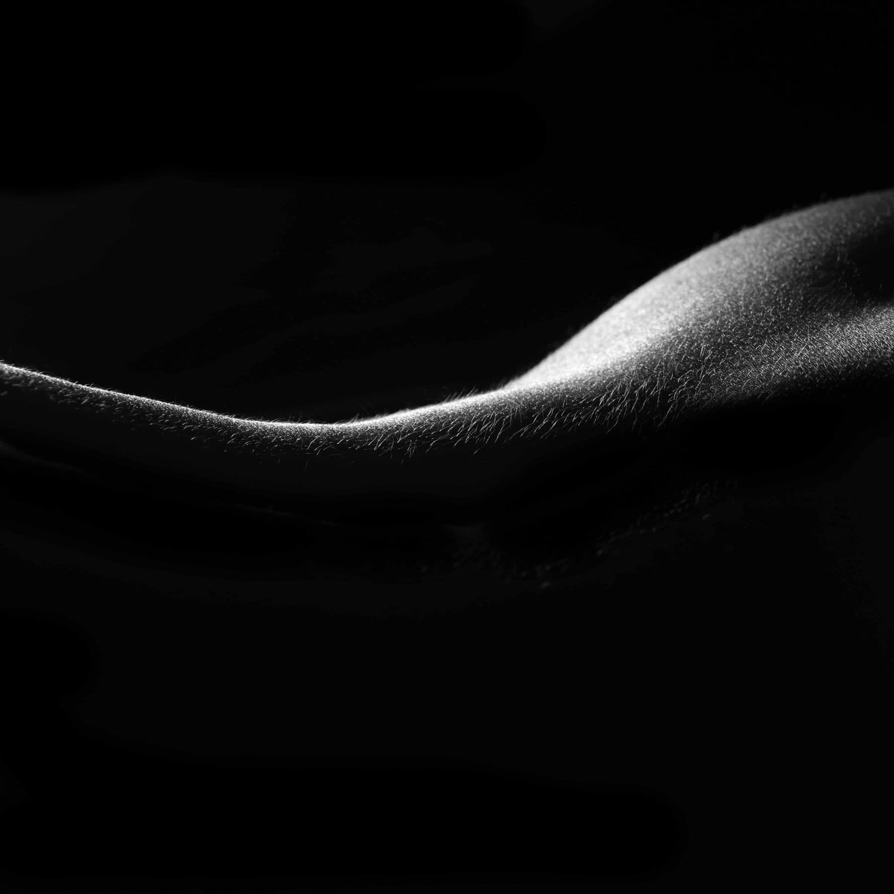 Black Velvet — black and white photographic artwork by Nick Brand