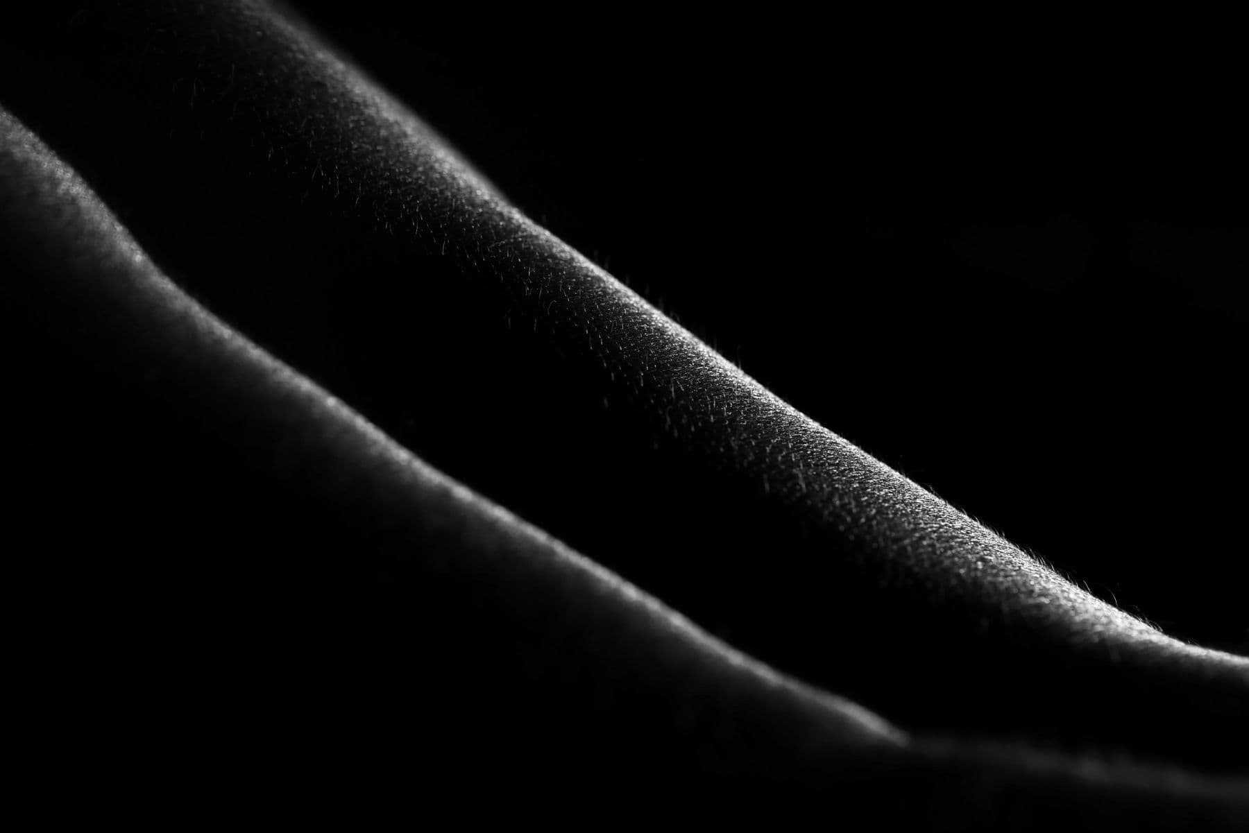 Canyon Carved Into the Landscape of the Body — black and white photographic artwork by Nick Brand