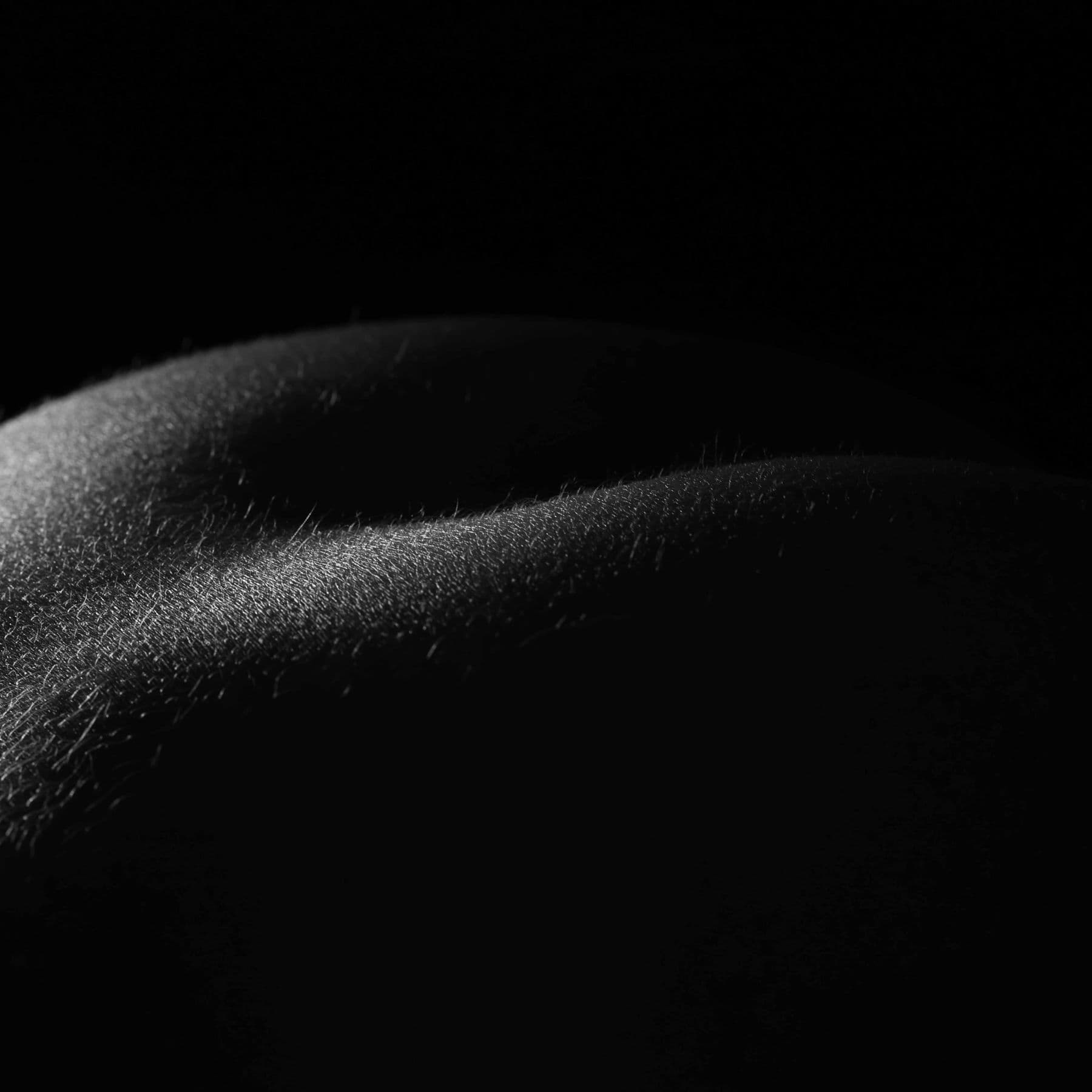 The Slow Rise of the Back — black and white photographic artwork by Nick Brand